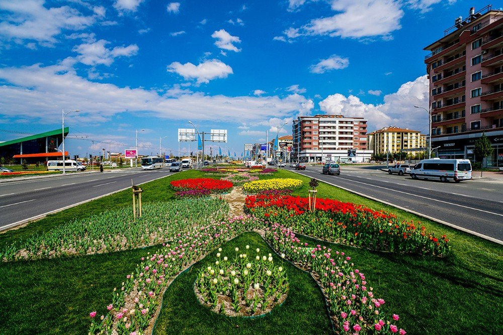 Büyükşehir Belediyesi 174 Bin Adet Lale Dikti