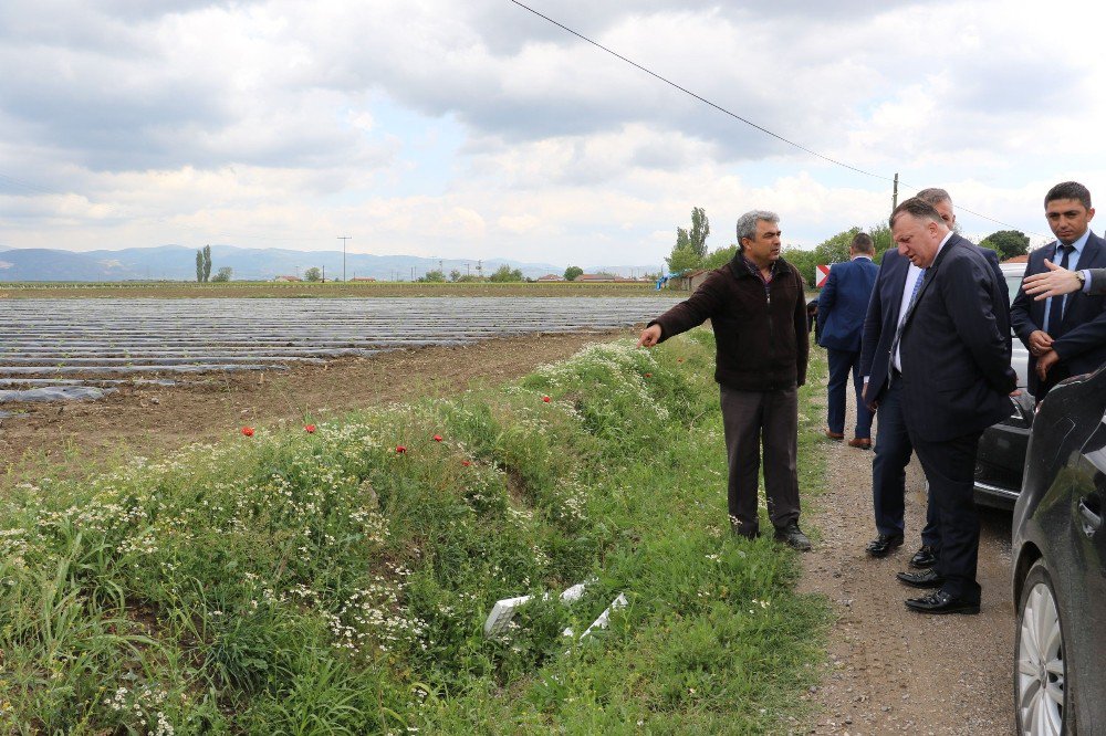 Manisa Büyükşehir Belediyesinden Hizmetlere İnceleme