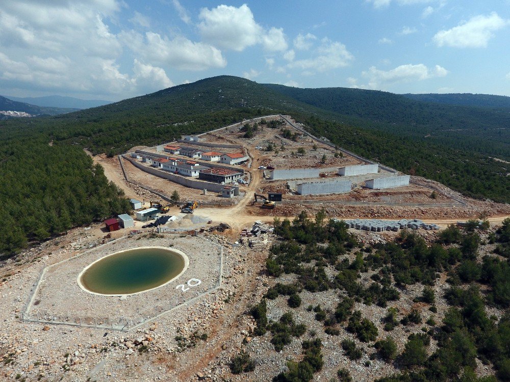 Büyükşehir’den Doğal Yaşam Alanlı Barınak