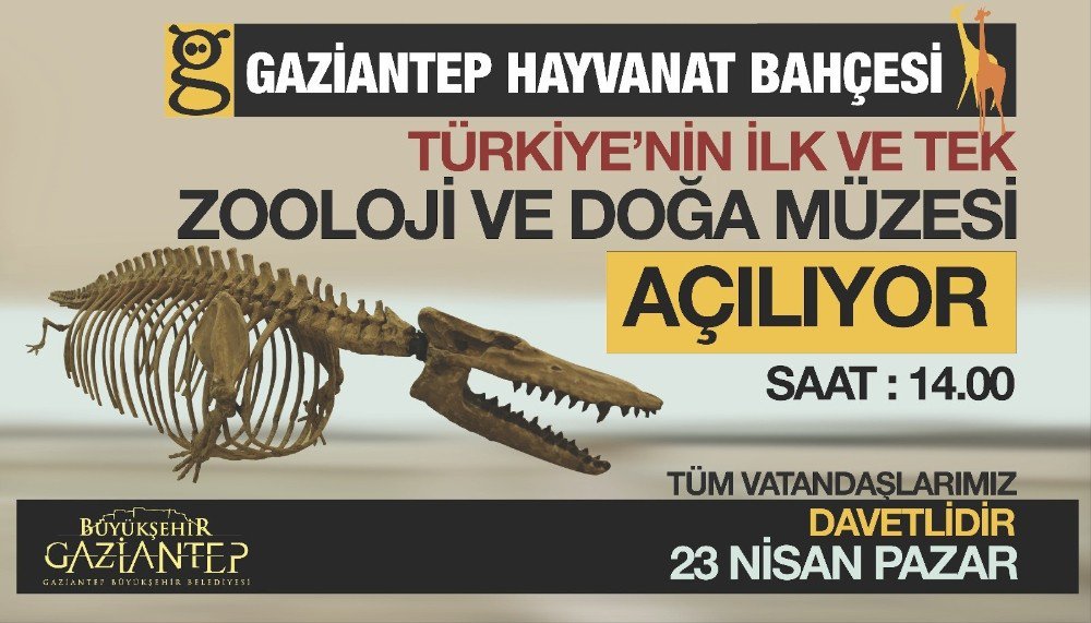 Türkiye’nin İlk Ve Tek Zooloji Ve Doğa Müzesi Açılıyor