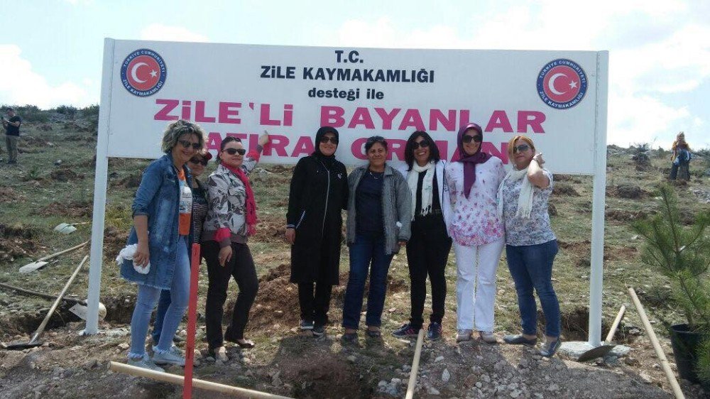 Bayanlardan Zile’ye Hatıra Ormanı