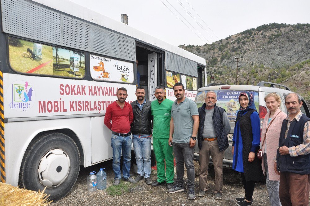 Sokak Hayvanlarının Kısırlaştırılmasına Başlandı