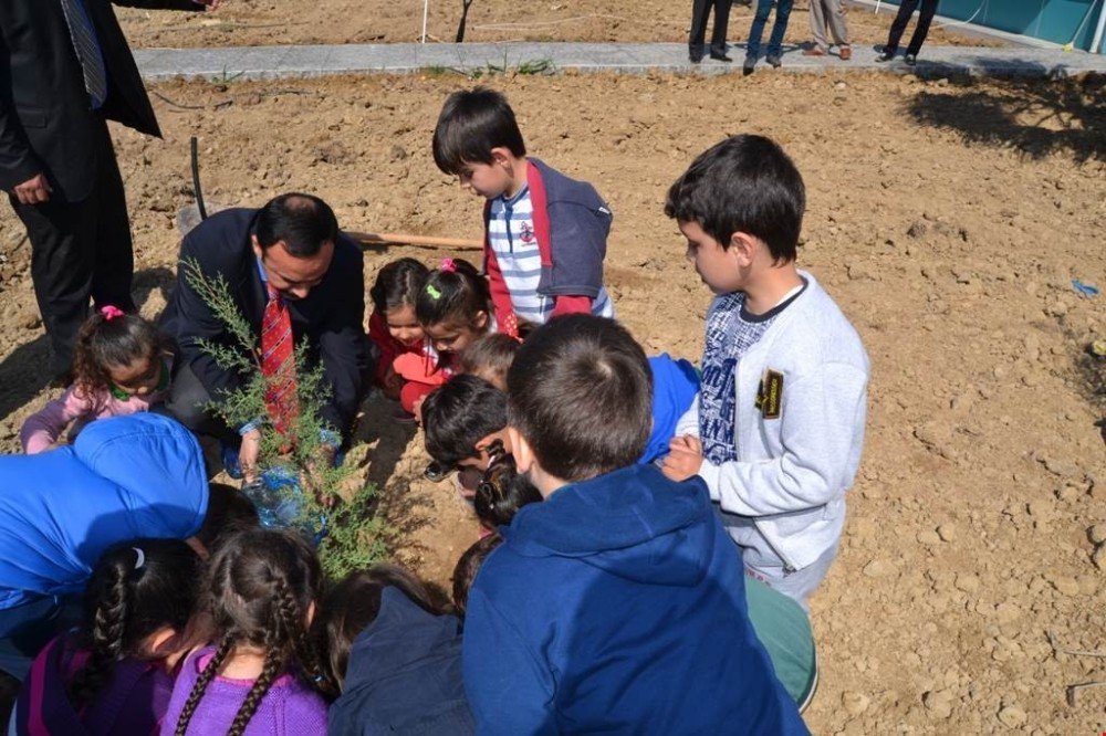 Bozyazı’da Minik Öğrenciler Fidan Dikti