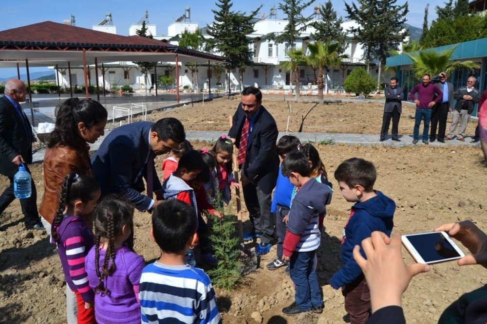 Bozyazı’da Minik Öğrenciler Fidan Dikti