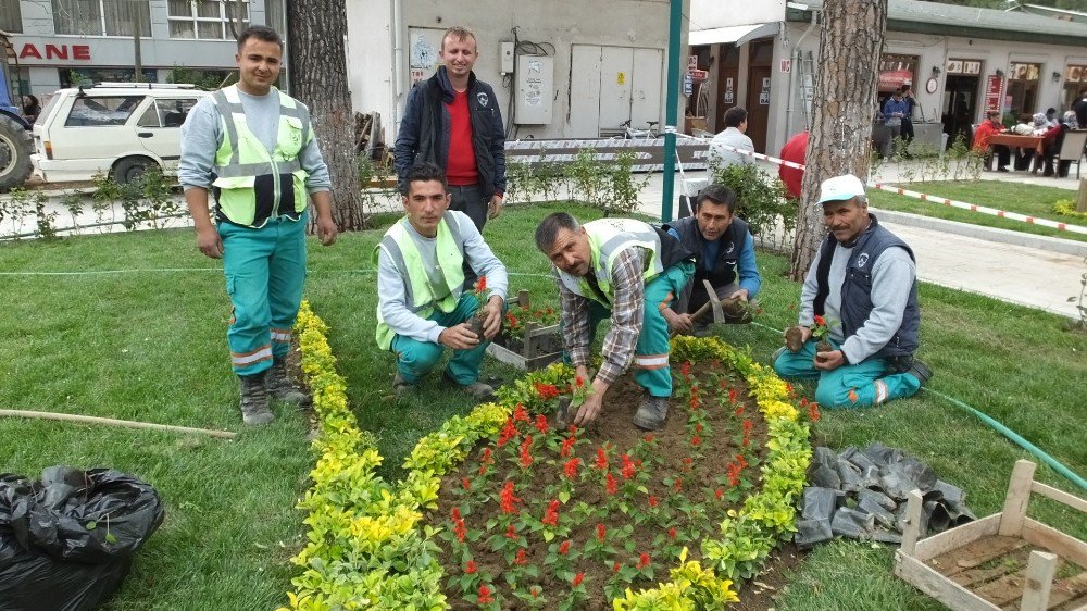 Burhaniye’de Park Ve Refüjlere Belediye Güzelliği