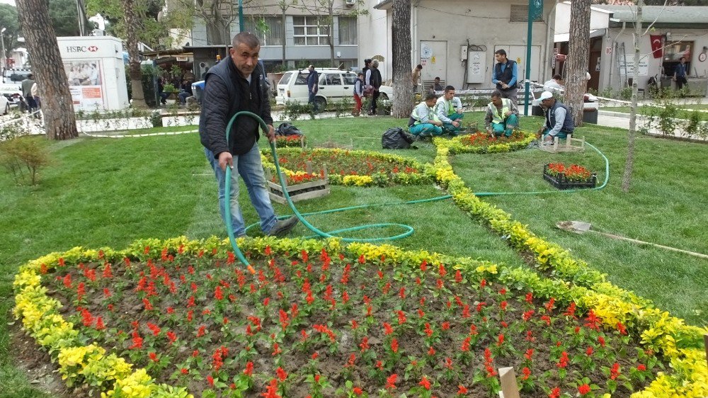 Burhaniye’de Park Ve Refüjlere Belediye Güzelliği