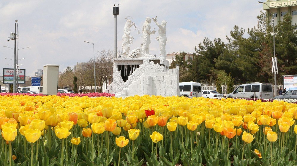 Elazığ Çiçeklerle Renklendi