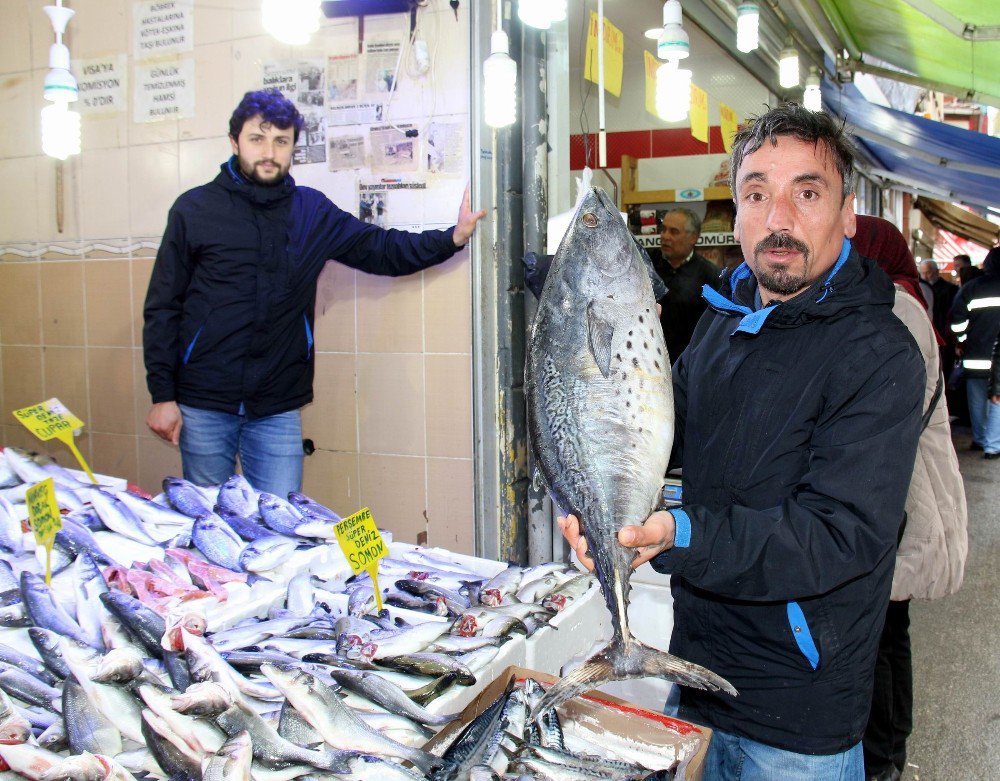 Tezgahları Kültür Balıkları Süslüyor