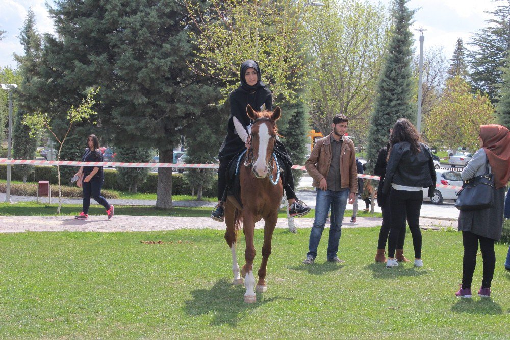 Gençler, Geleneksel Spor Dallarıyla Eğlendi