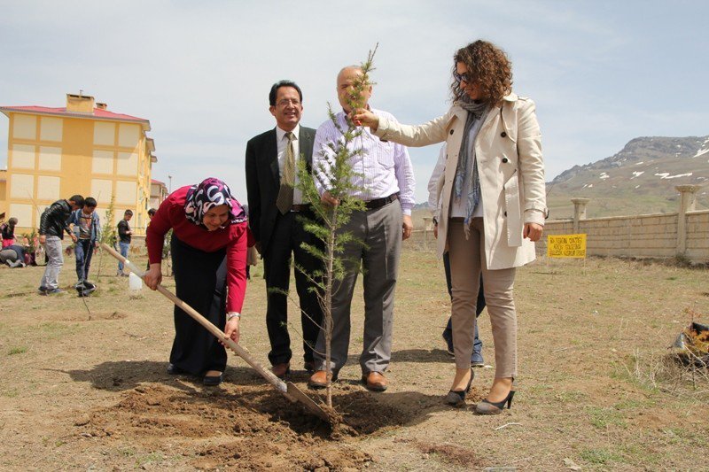 Van’da Fidan Dikimi