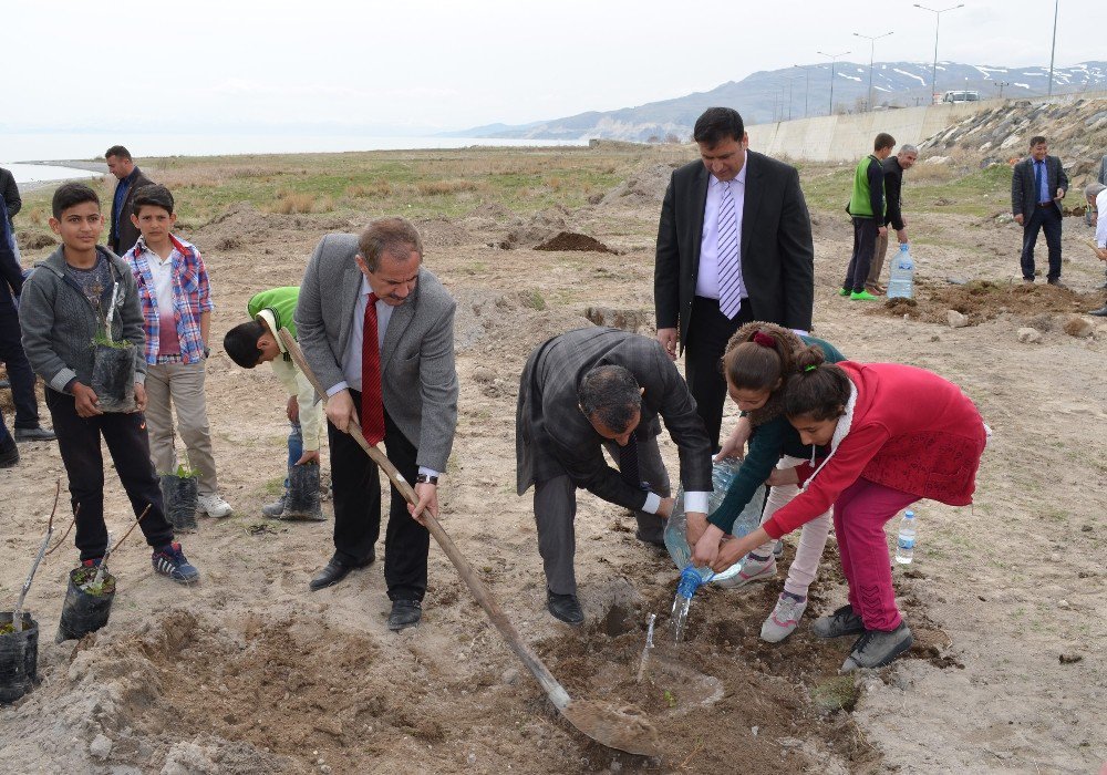 Adilcevaz’da 150 Aşılı Ceviz Fidanı Toprakla Buluştu