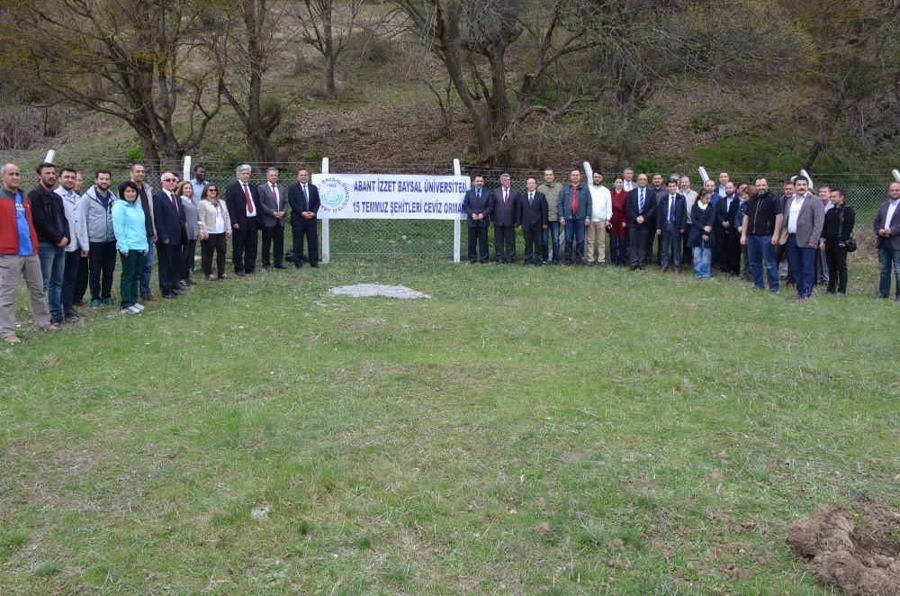 15 Temmuz Şehitleri İçin Ceviz Ormanı Oluşturuluyor