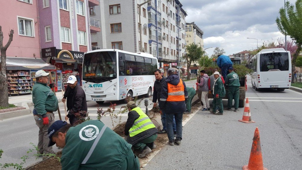 Edirne Belediyesi Islah Çalışmalarına Devam Ediyor