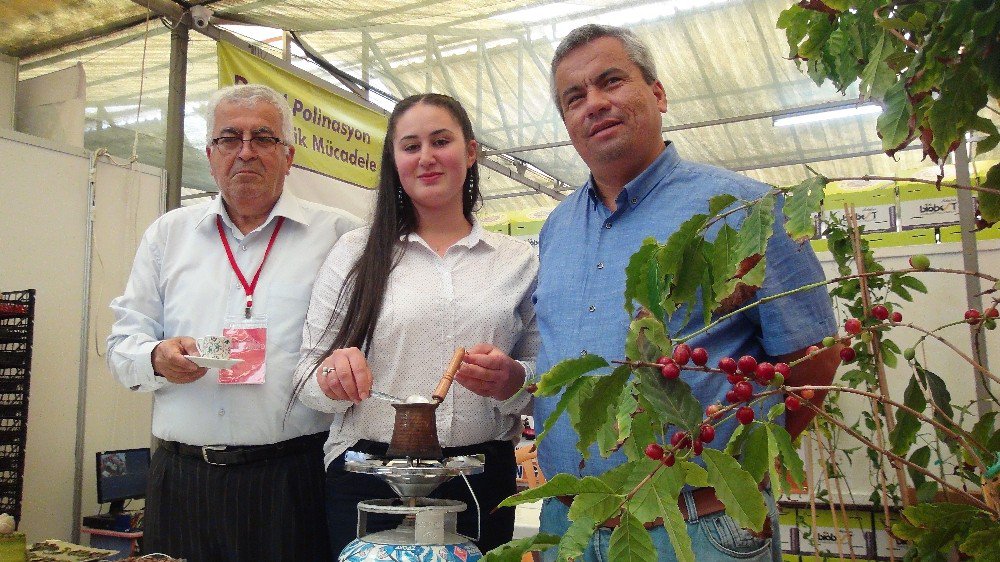 Gazipaşa Kahvesi Görücüye Çıktı