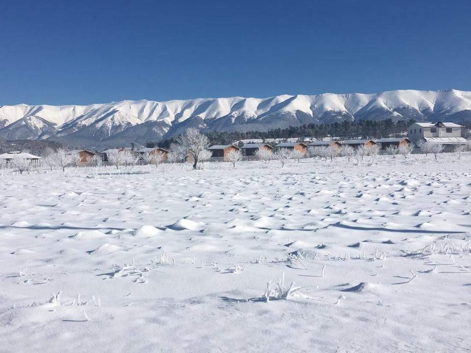 Bursa’da Baharda Kar Esareti