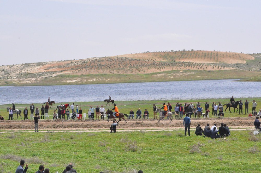 Rahvan At Yarışları İlk Kez Nizip’te Düzenlendi