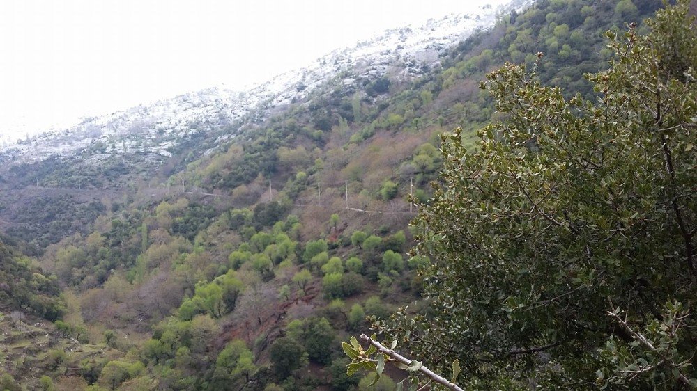 İzmir’e Kar Sürprizi