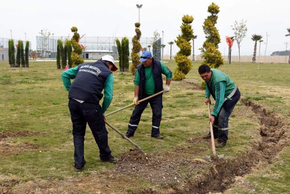 Ağapark’ta Ağaçlandırma Çalışması