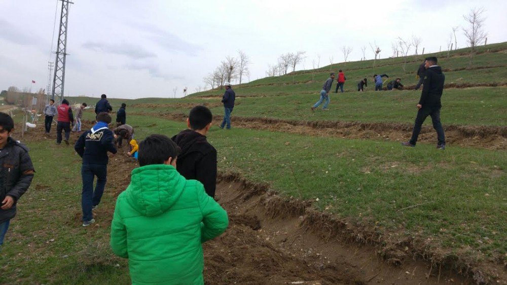 Ağçed İzcileri Yüzlerce Fidanı Toprakla Buluşturdu