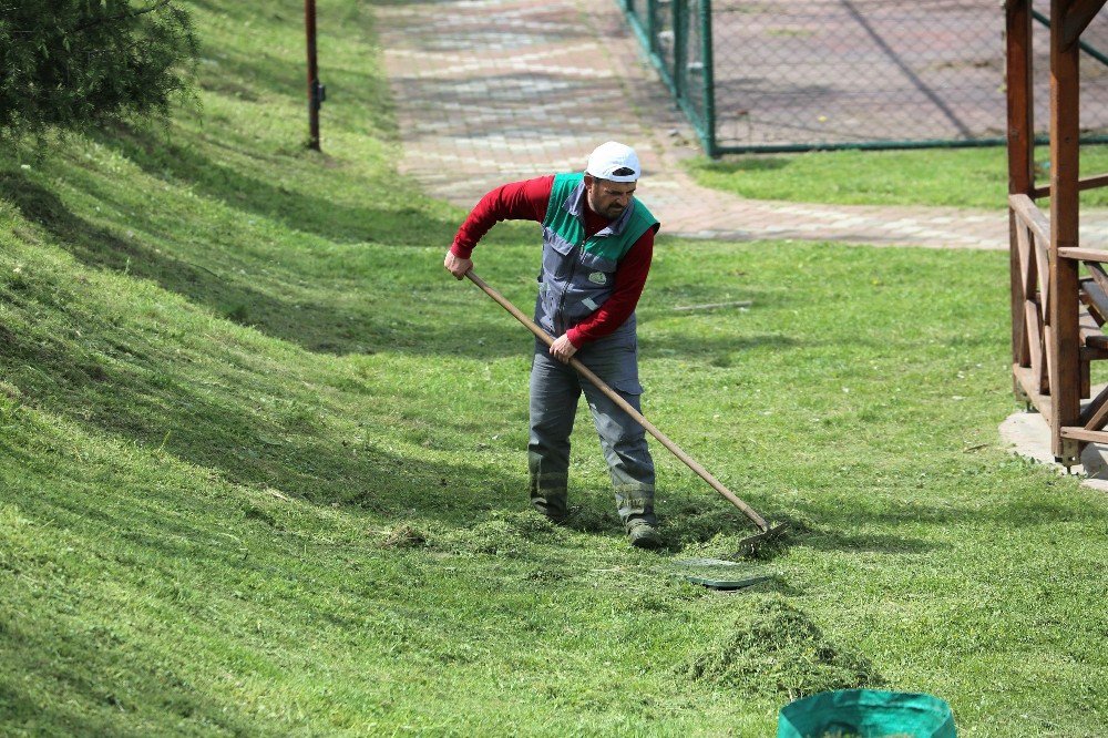 Başiskele’de Yeşil Alan Çalışmaları Sürüyor