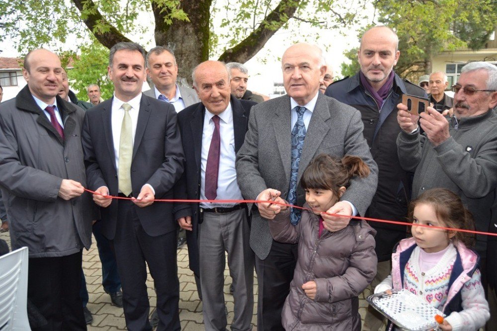 Külliye’nin Zeytinleri Gemlik’ten