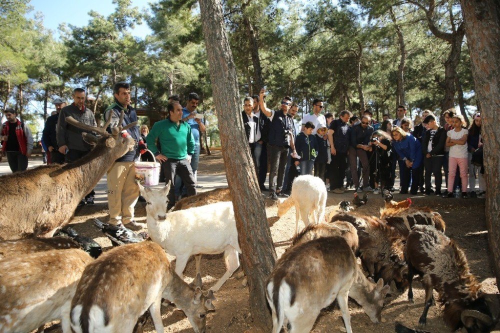 Çocukların, Coşkun Aral İle Foto Safari Keyfi