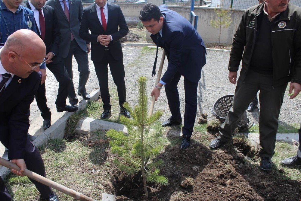 Kaymakam Keklik İle Başkan Altun Öğrencilerle Birlikte Fidan Dikti