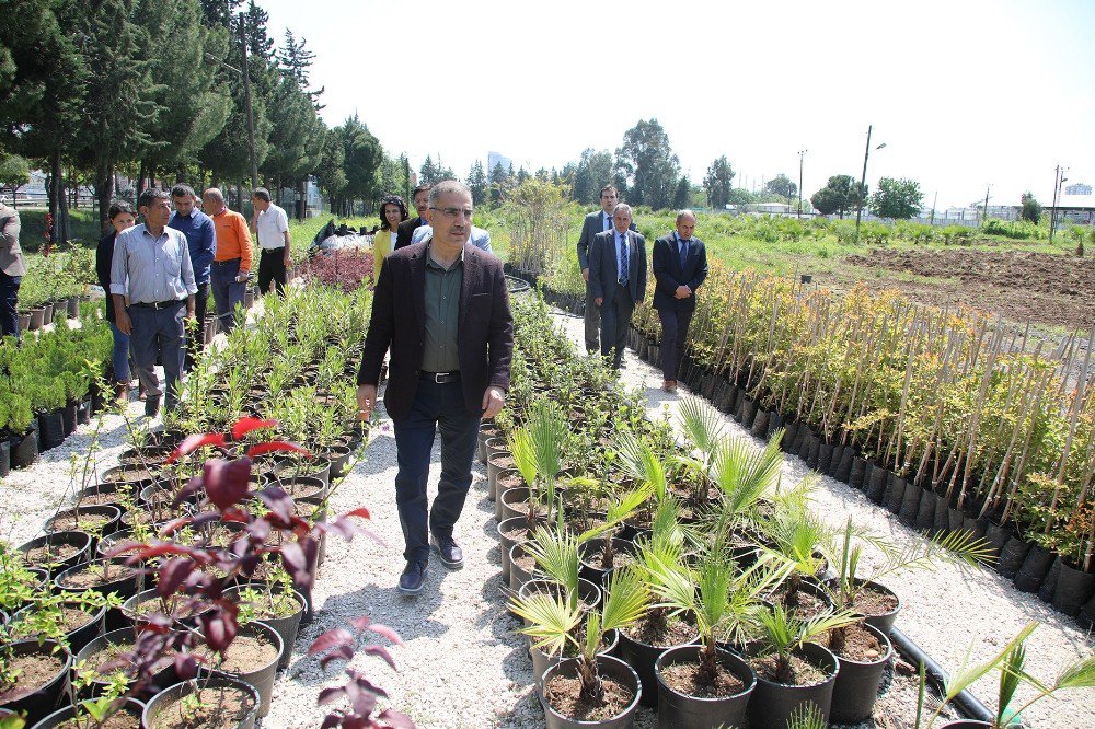Adana’ya Macera Temalı Botanik Park