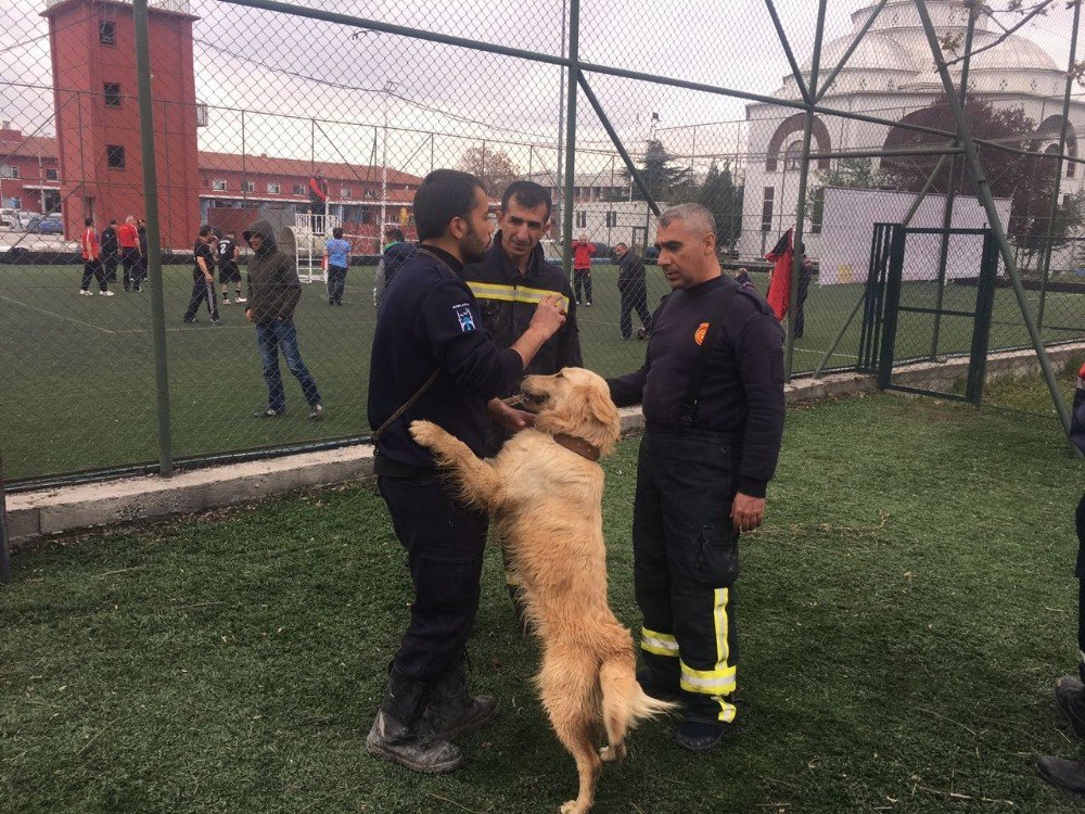 İtfaiye Ekipleri K9 Eğitimi Alıyor