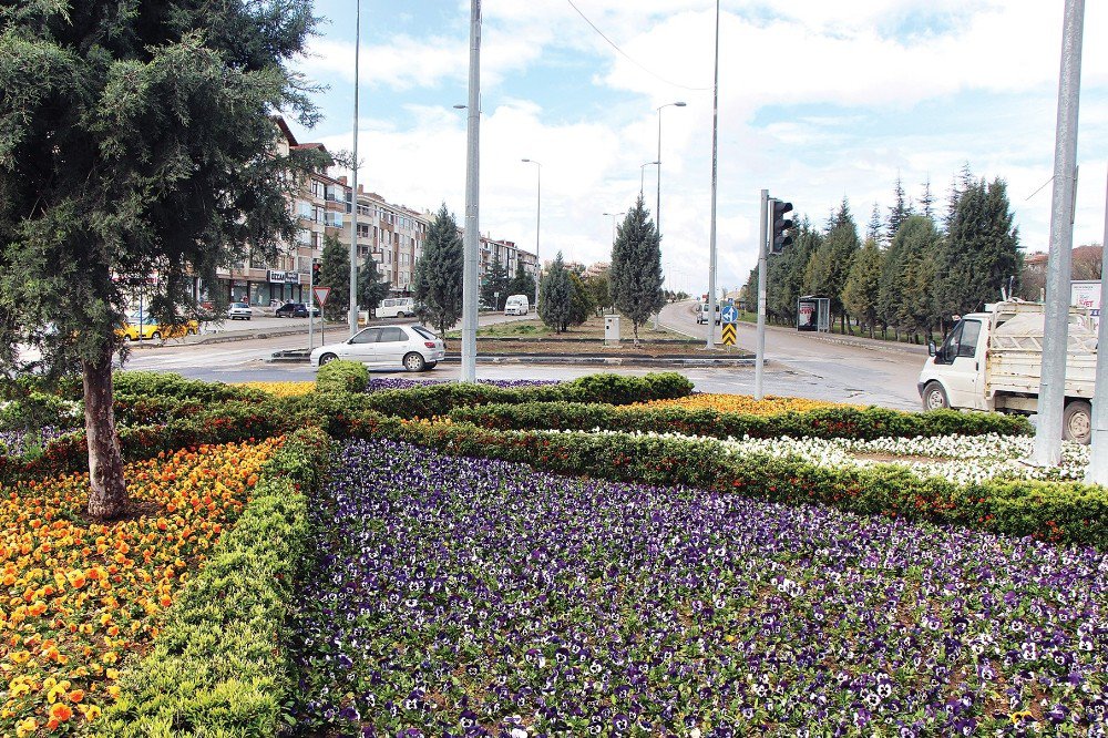 Büyükşehir Belediyesi, Ankara’yı 10 Milyon Çiçekle Donatıyor