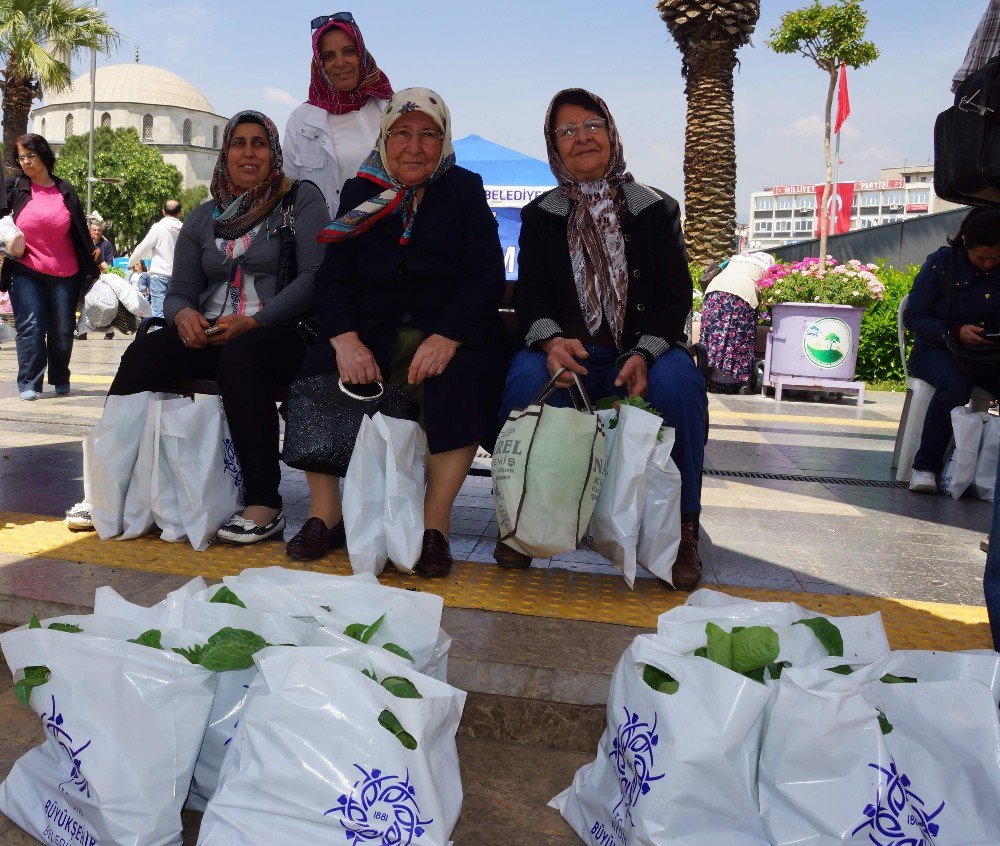 Aydın’da 70 Bin Adet Yerli Tohum Fide Dağıtımı Yapıldı