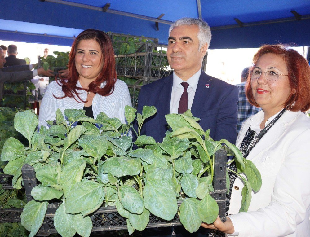 Aydın’da 70 Bin Adet Yerli Tohum Fide Dağıtımı Yapıldı