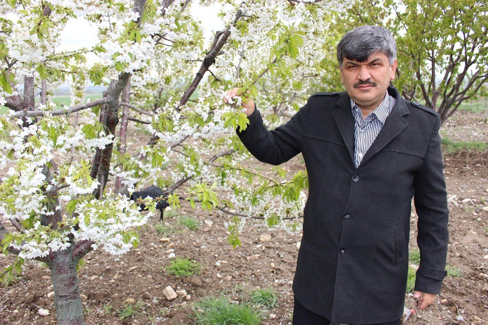 Ani Hava Değişiklikleri Çiftçileri Strese Soktu