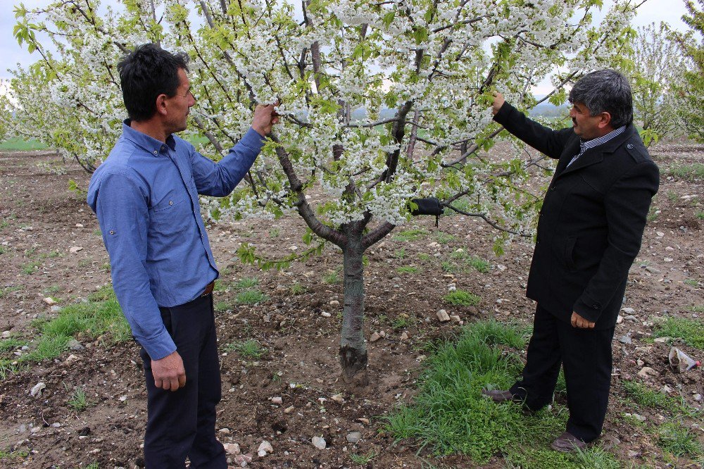 Ani Hava Değişiklikleri Çiftçileri Strese Soktu