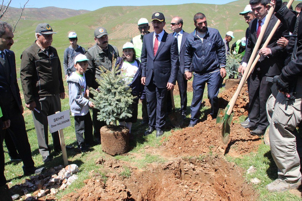 Muş’ta ‘15 Temmuz Hatıra Ormanı’ Oluşturuldu