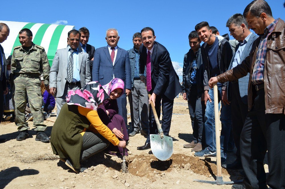 Adilcevaz’da Üniversite Öğrencileri Fidan Dikti