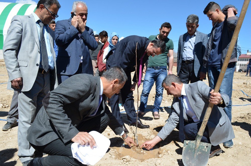 Adilcevaz’da Üniversite Öğrencileri Fidan Dikti