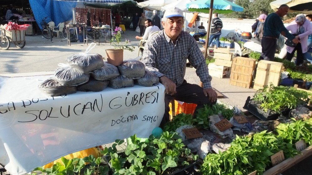 Burhaniye’de Emekli Eğitimci Örnek Fideci Oldu