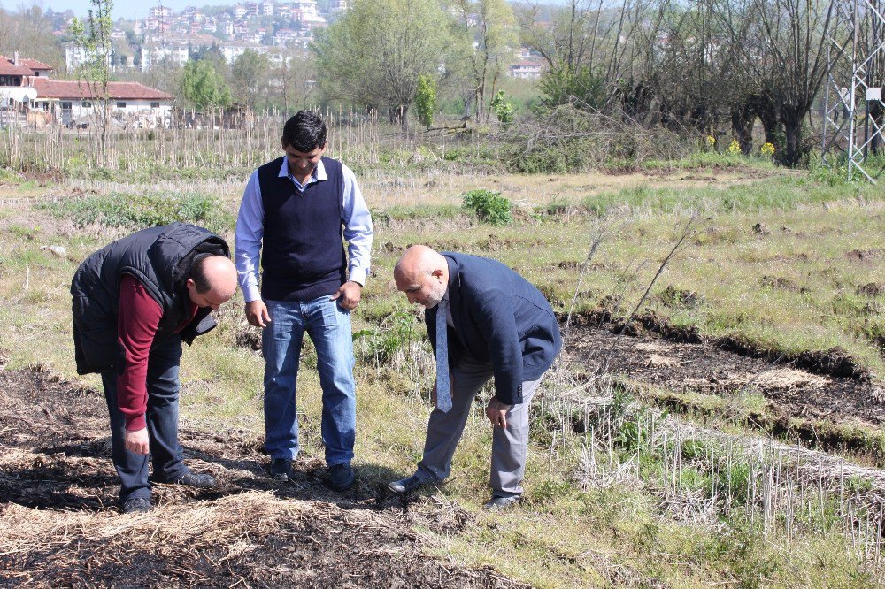 Zirai Çalışmalar Yapılacak