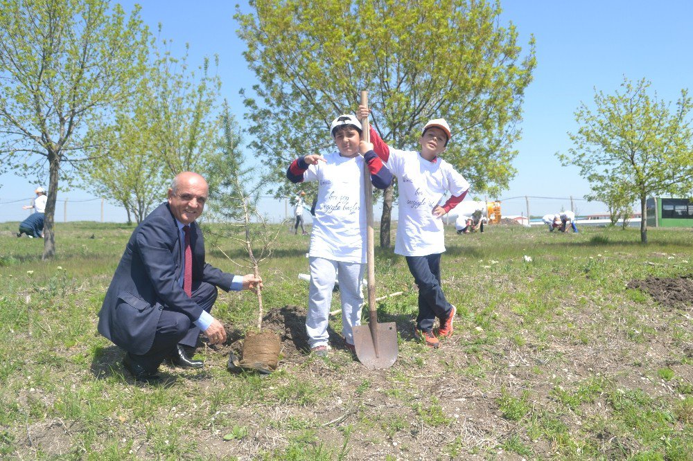 Önce Fidan Dikip Uçurtma Uçurdu