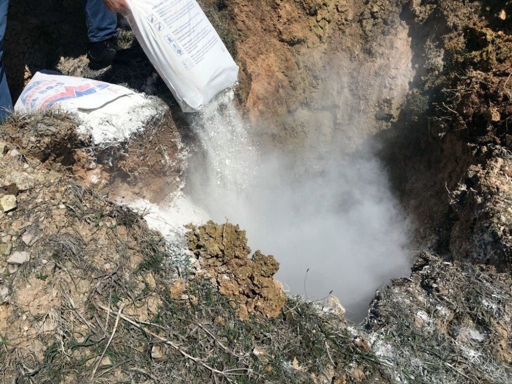 Reşadiye’de Kuş Gribi Alarmı