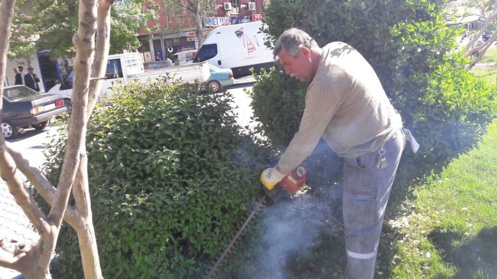 Gölbaşı İlçesinde Bulvarlarda Ve Parklarda Peyzaj Çalışması