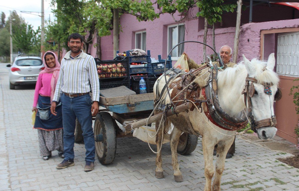 Benzine Para Yetiştiremeyince At Arabasına Geri Döndüler