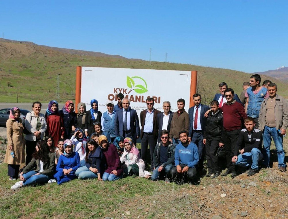 Bingöl’de Kyk Ormanı Oluşturuldu