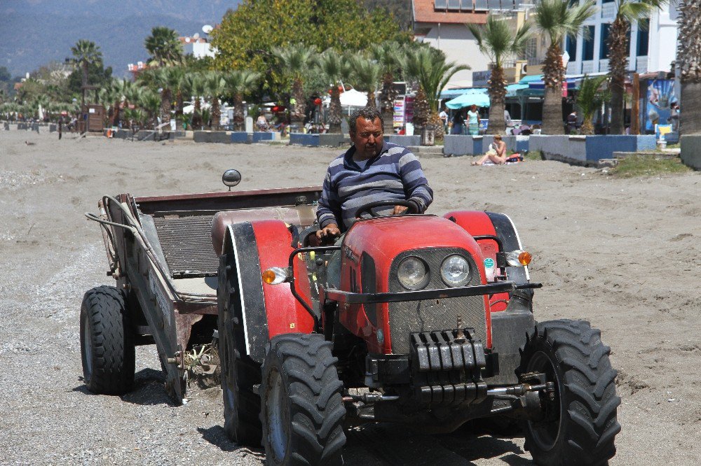 Çalış Plajı Kumsalı Traktörle Temizleniyor