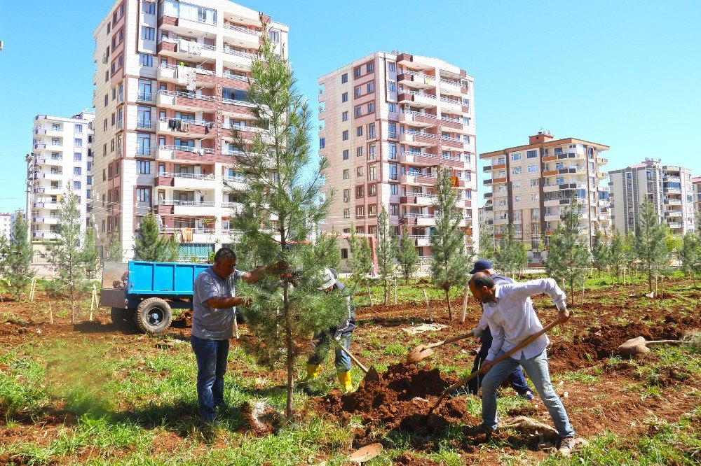 Bağlar’a Yeni Bir Yeşil Alan Daha Eklendi