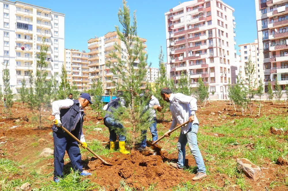 Bağlar’a Yeni Bir Yeşil Alan Daha Eklendi