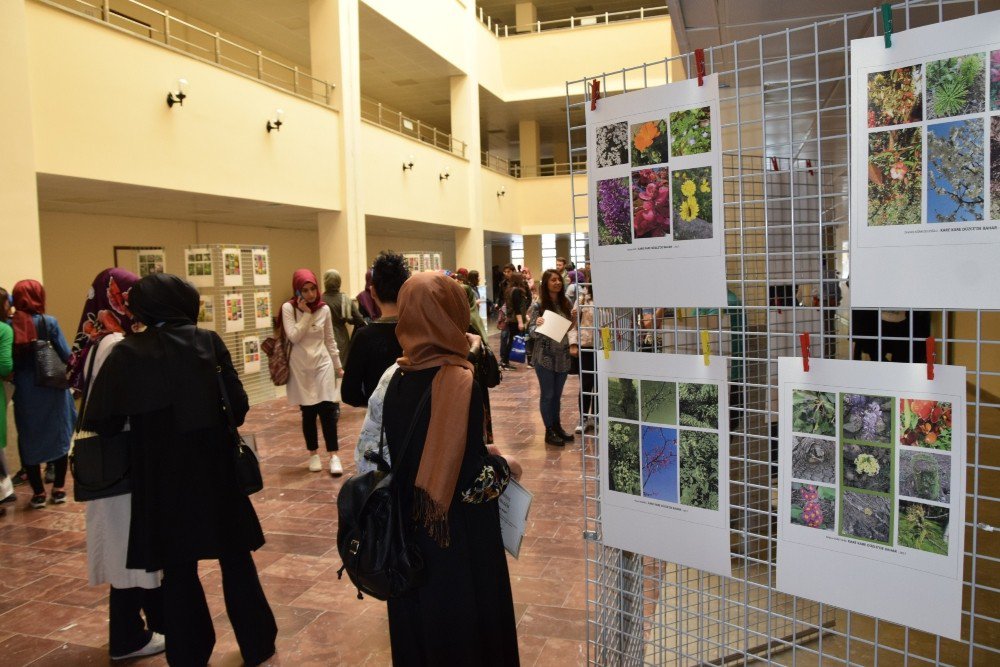 Düzce Üniversitesi’nden "Kare Kare Düzce’de Bahar" Fotoğraf Sergisi