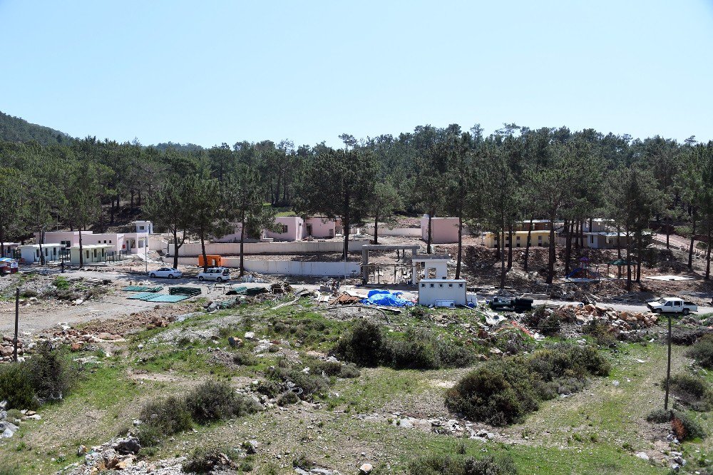 Bozyazı’da Sahipsiz Hayvanlara Otel Konforunda Barınak