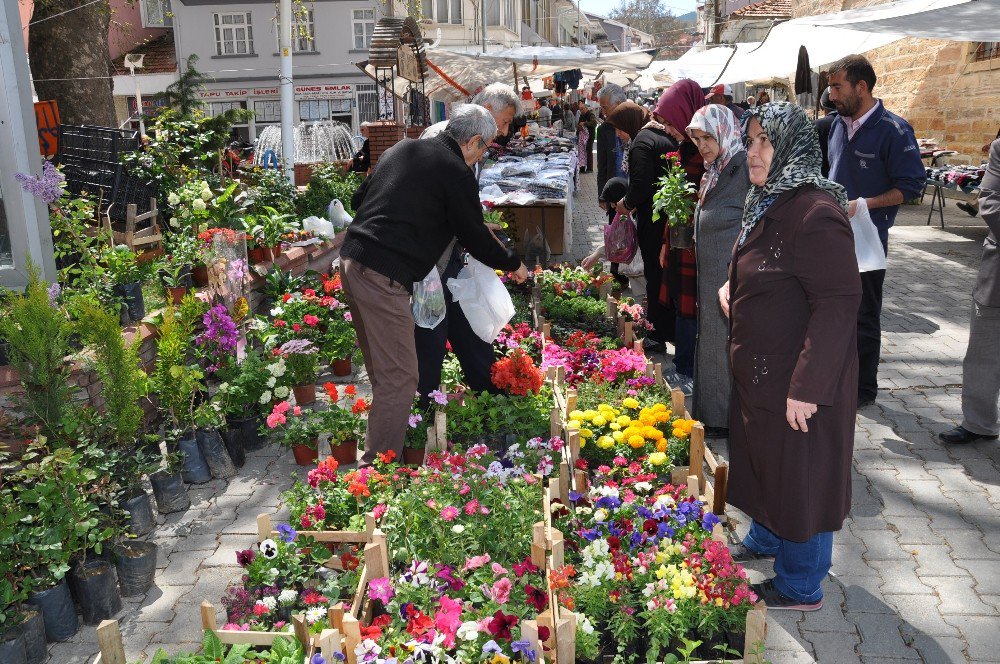 Pazar Yeri Çiçek Bahçesine Döndü